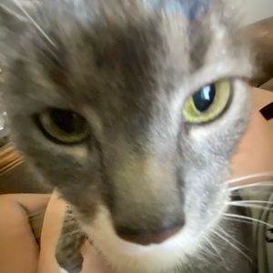 Meet your Posher, Aubrey